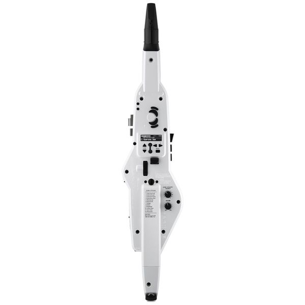 Roland Aerophone AE-20W