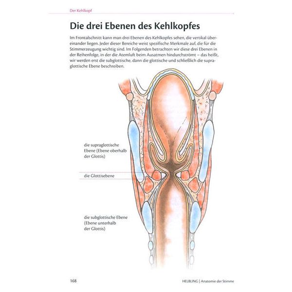 Helbling Verlag Anatomie der Stimme