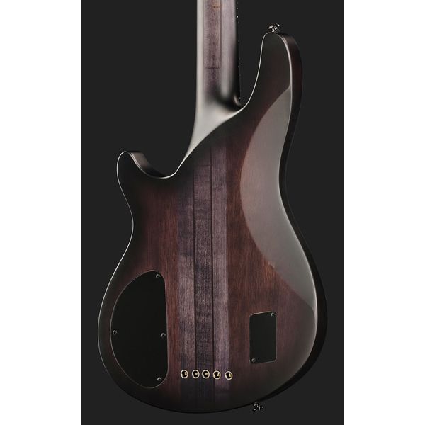 Schecter Hellraiser Extreme 5 STBLS