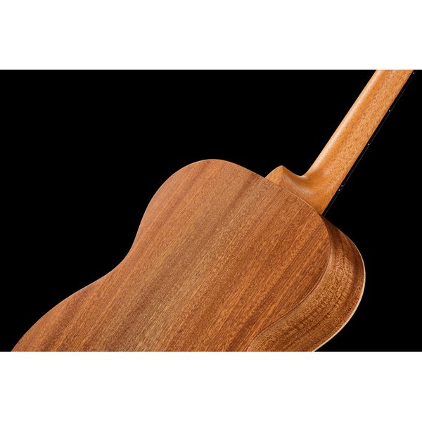 Martin Guitar OM Biosphere