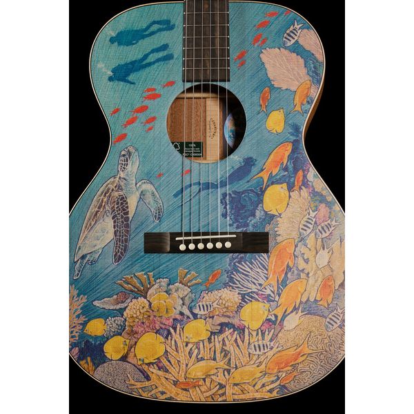 Martin Guitar OM Biosphere