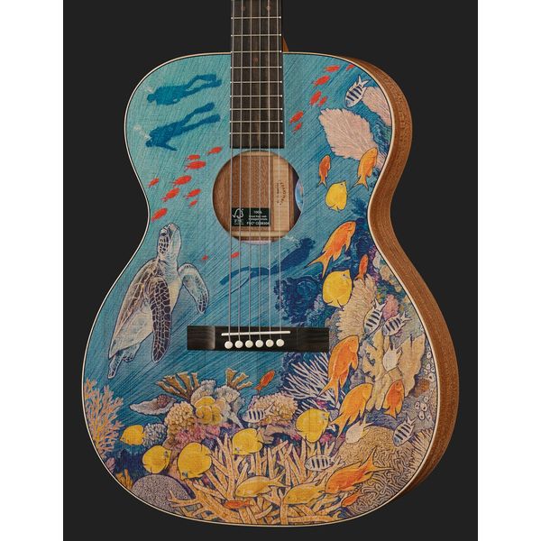 Martin Guitar OM Biosphere