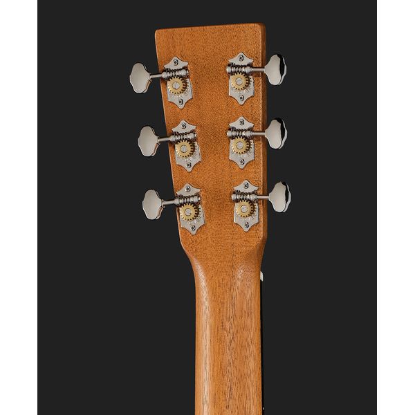 Martin Guitar OM Biosphere