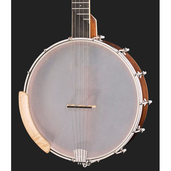 Gold Tone High Moon HM-100 Banjo