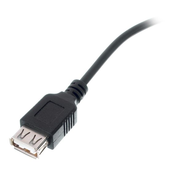 Ape Labs Cable IP Male / USB A Female
