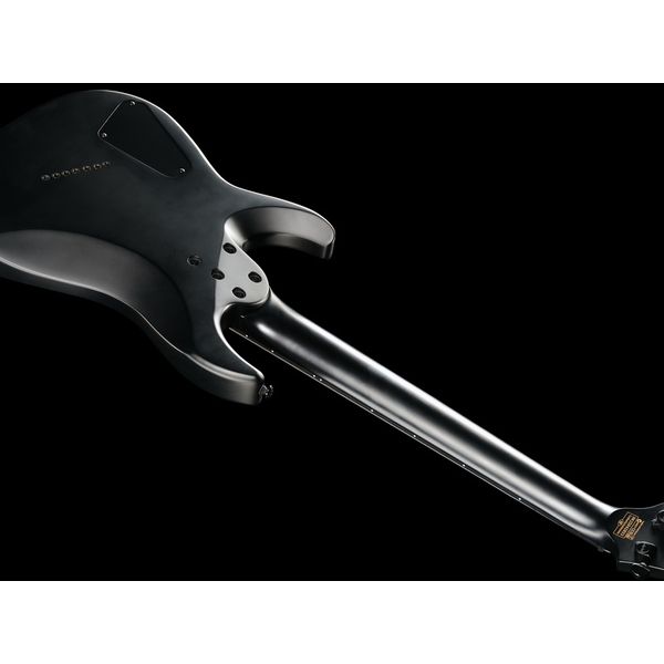 Schecter Damien 7 Multiscale SB