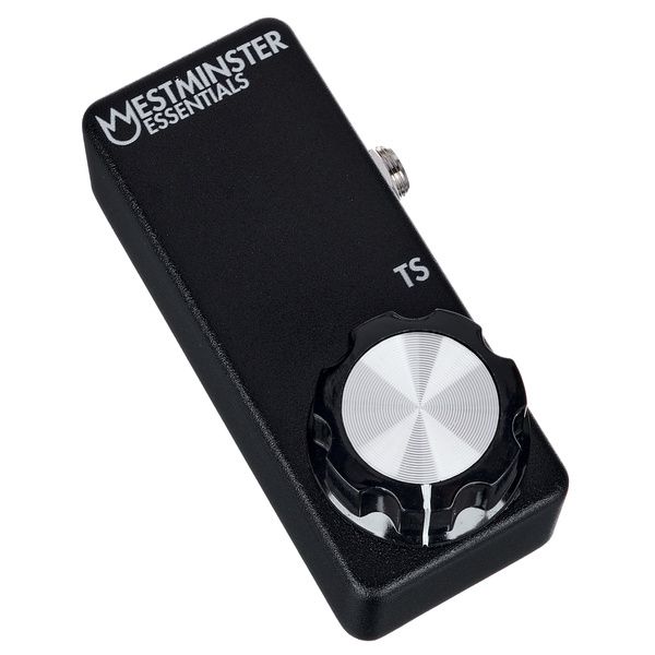 Westminster Effects Micro Expression TS