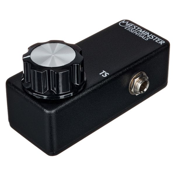 Westminster Effects Micro Expression TS