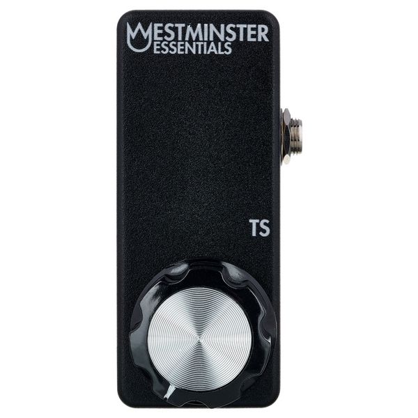 Westminster Effects Micro Expression TS