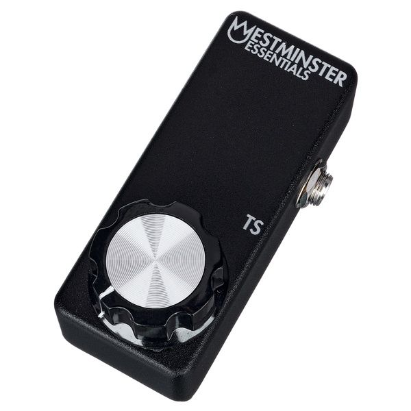 Westminster Effects Micro Expression TS