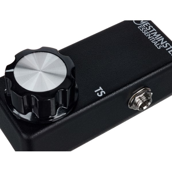 Westminster Effects Micro Expression TS