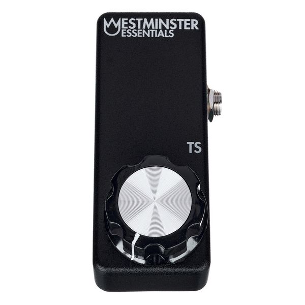 Westminster Effects Micro Expression TS