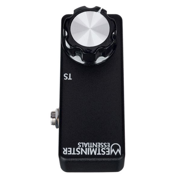 Westminster Effects Micro Expression TS