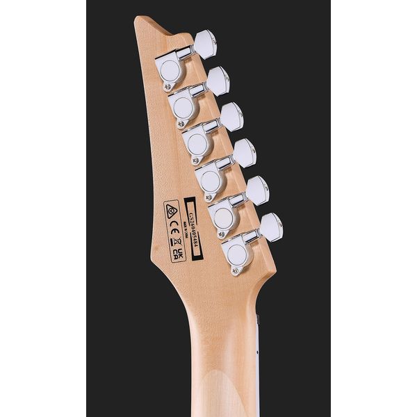 Ibanez GRG170DX-SV