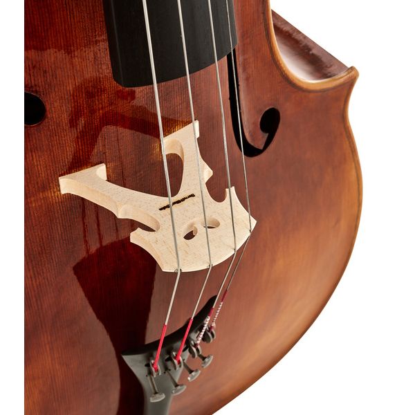 Bernd Hiller & Sohn Master Cello Montagnana 4/4