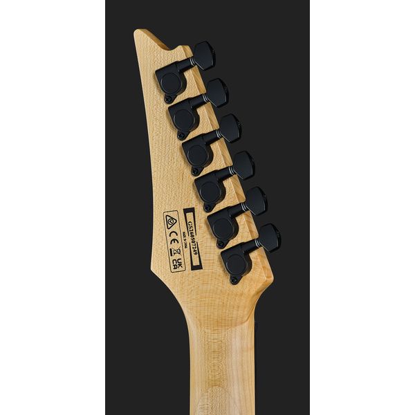 Ibanez GRGA120QA-TKS