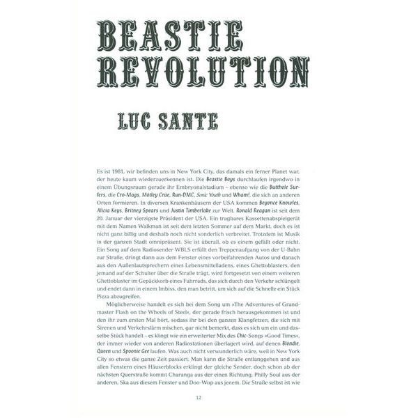 Heyne Verlag Beastie Boys Buch