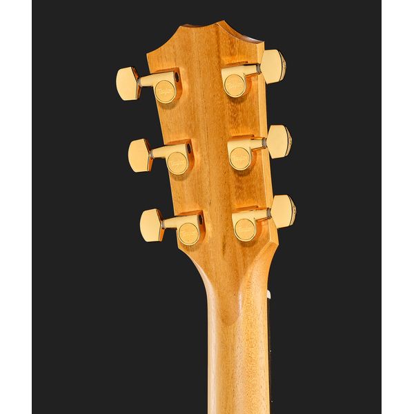 Taylor 222ce-K DLX