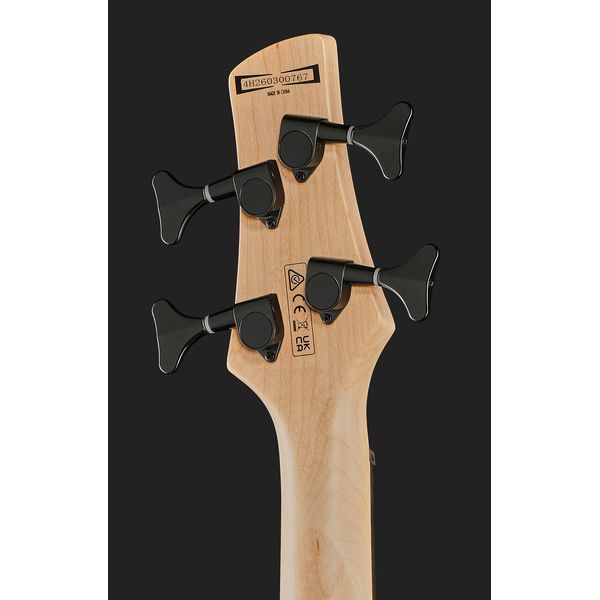 Ibanez GSR280QA-TMS