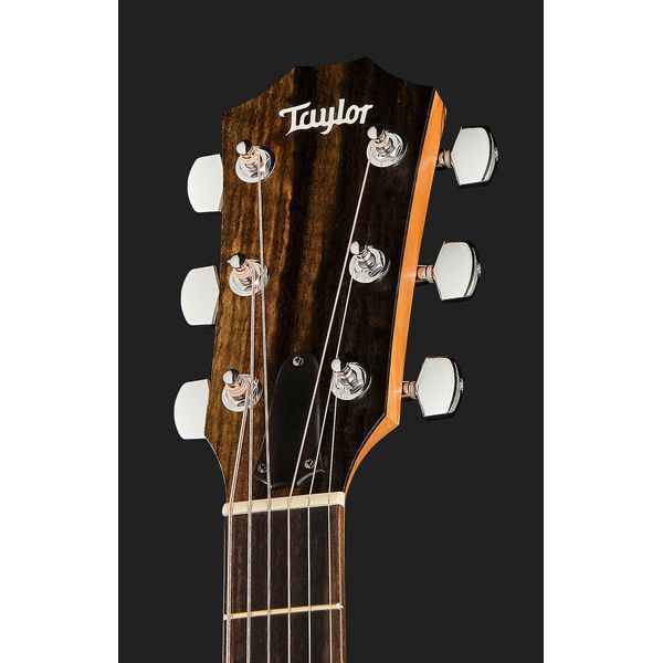 Taylor 110ce Sapele