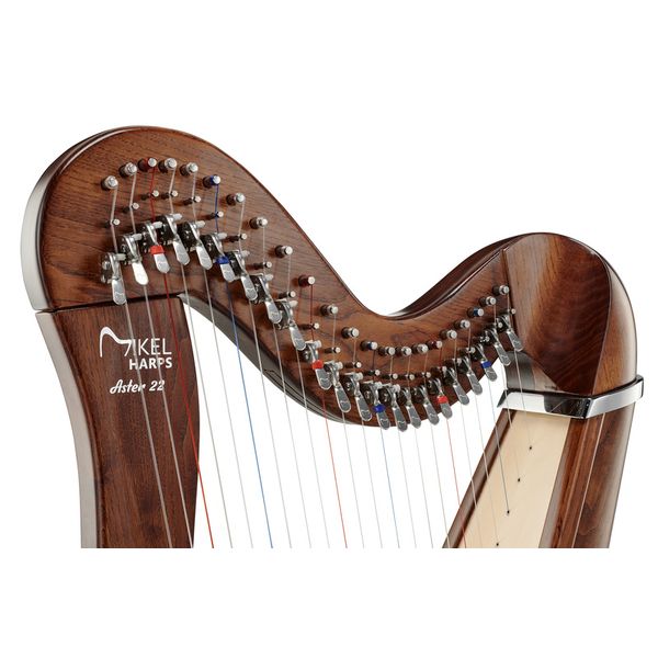Roth & Junius Celtic Harp 22 Strings WN