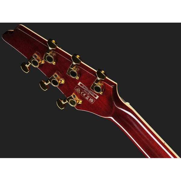 Ibanez IC420FM-VLS
