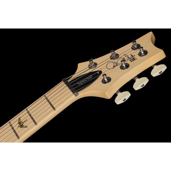 PRS SE Swamp Ash Special CH