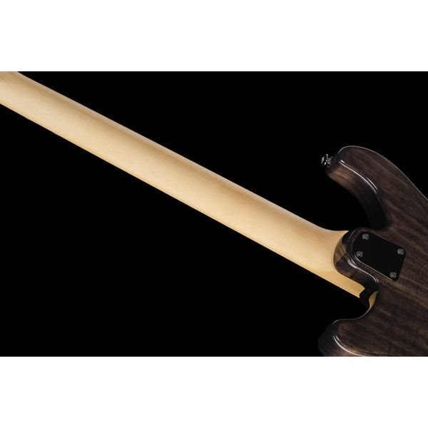 PRS SE Swamp Ash Special CH