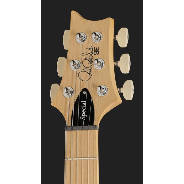 PRS SE Swamp Ash Special CH