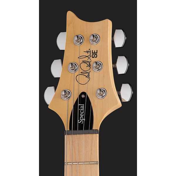 PRS SE Swamp Ash Special IB