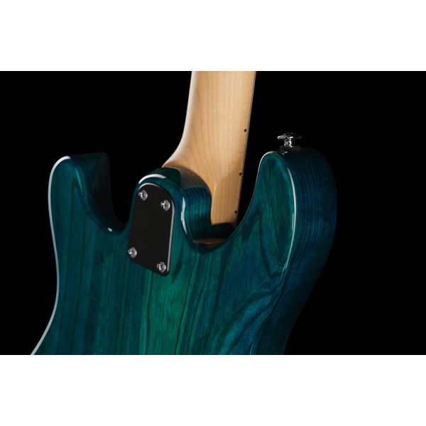 PRS SE Swamp Ash Special IB