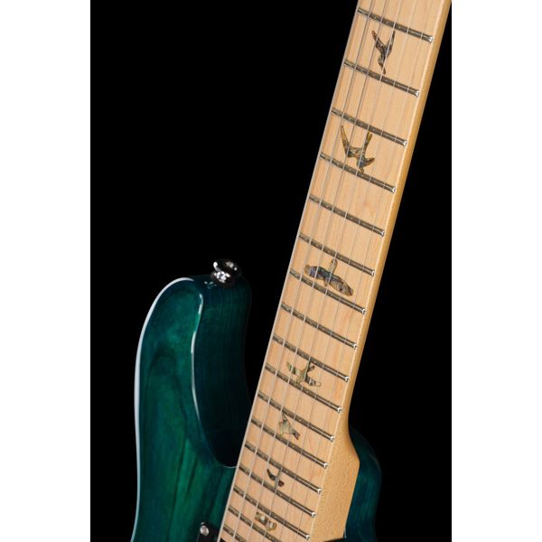 PRS SE Swamp Ash Special IB