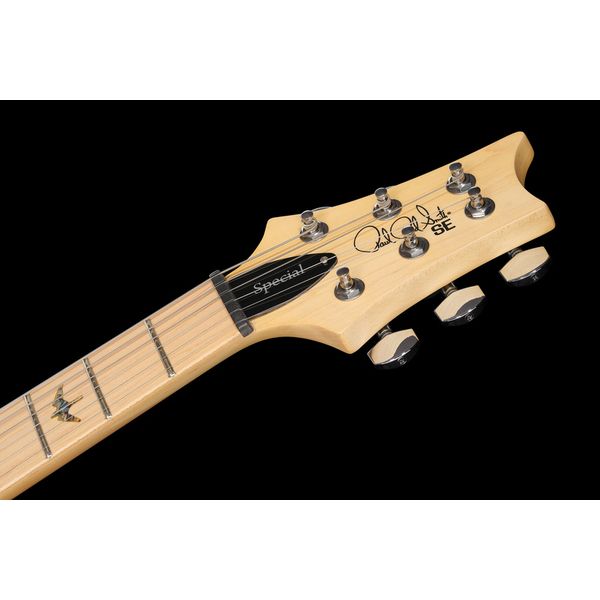PRS SE Swamp Ash Special IB