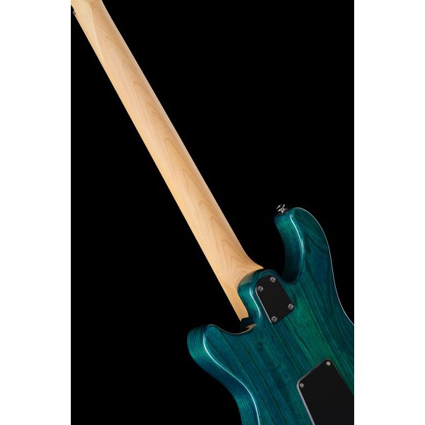 PRS SE Swamp Ash Special IB