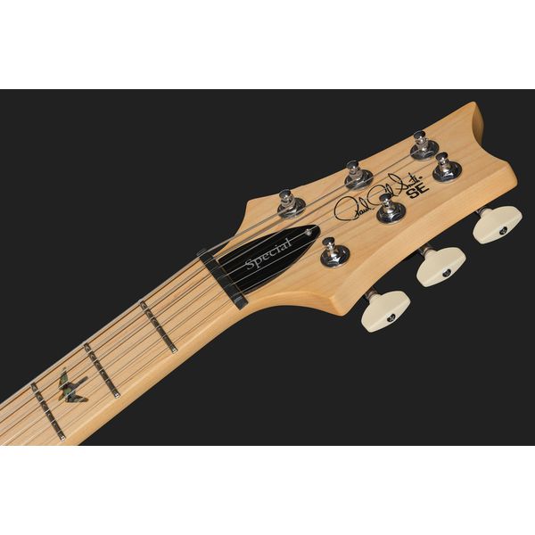 PRS SE Swamp Ash Special IB