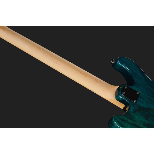 PRS SE Swamp Ash Special IB