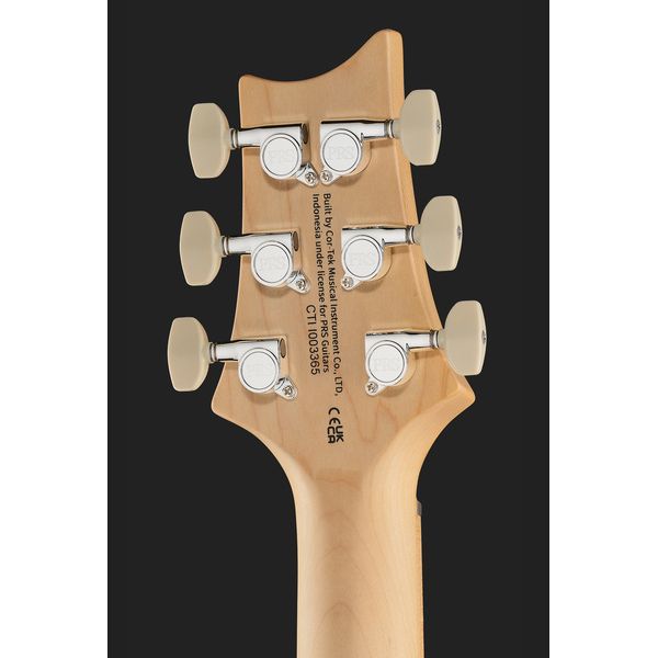 PRS SE Swamp Ash Special IB