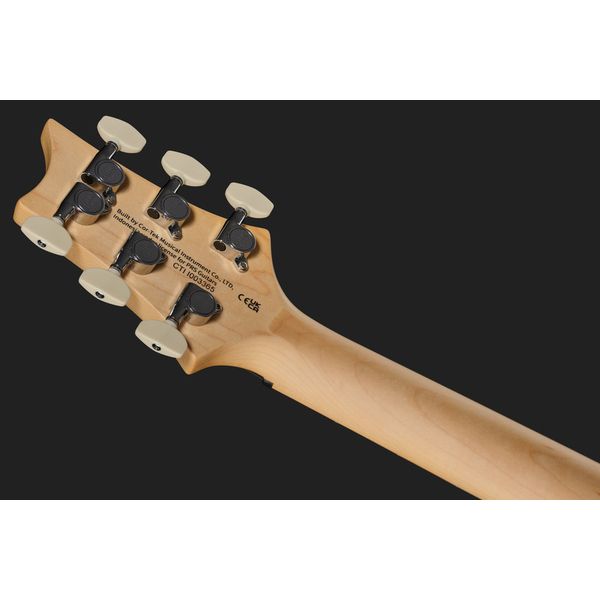 PRS SE Swamp Ash Special IB