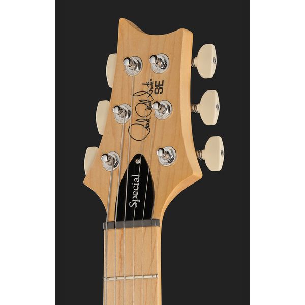 PRS SE Swamp Ash Special IB