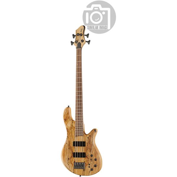 Franz Bassguitars Merak 4 Spalted Alder LTD 2024