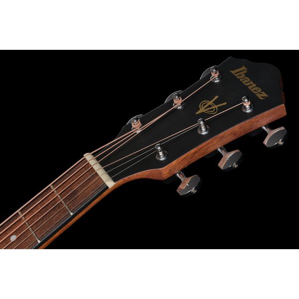 Ibanez V40-OPN