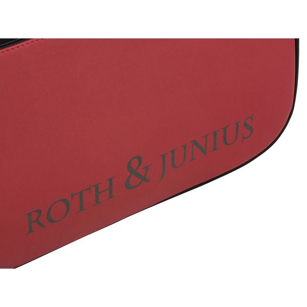 Roth & Junius VNC-01 Violin Case 4/4 BU