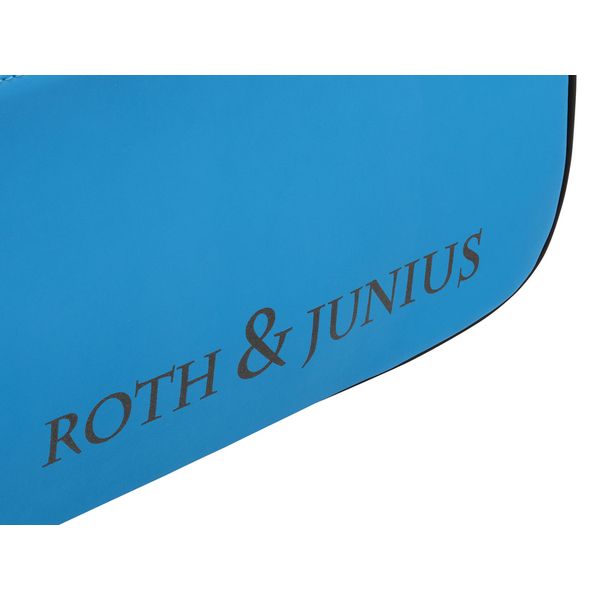 Roth & Junius VNC-01 Violin Case 4/4 BL