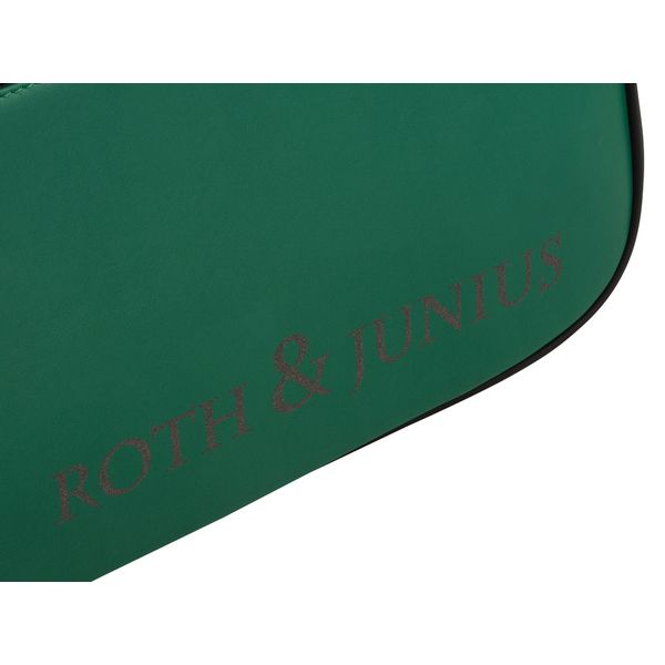 Roth & Junius VNC-01 Violin Case 4/4 GR
