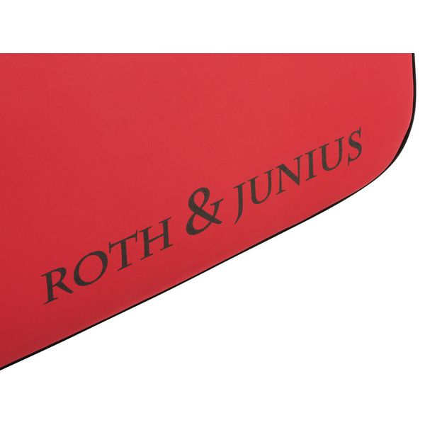 Roth & Junius VNC-01 Violin Case 4/4 RD