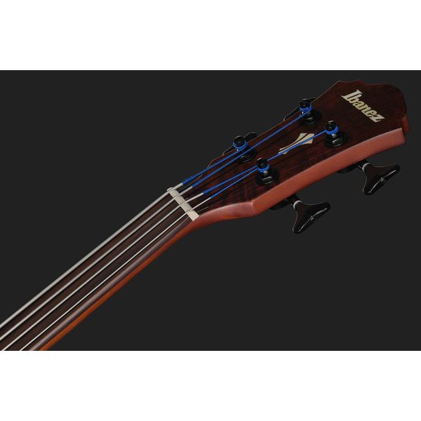 Ibanez AEGB24FE-MHS Fretless