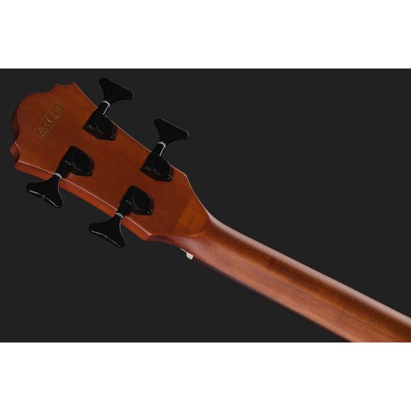 Ibanez AEGB24FE-MHS Fretless
