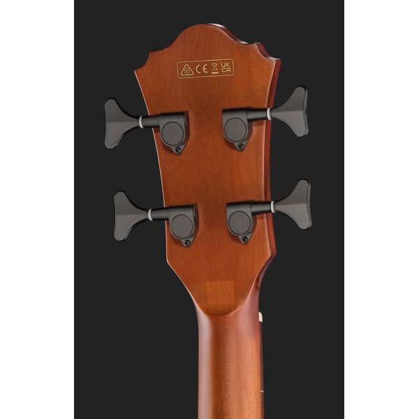 Ibanez AEGB24FE-MHS Fretless
