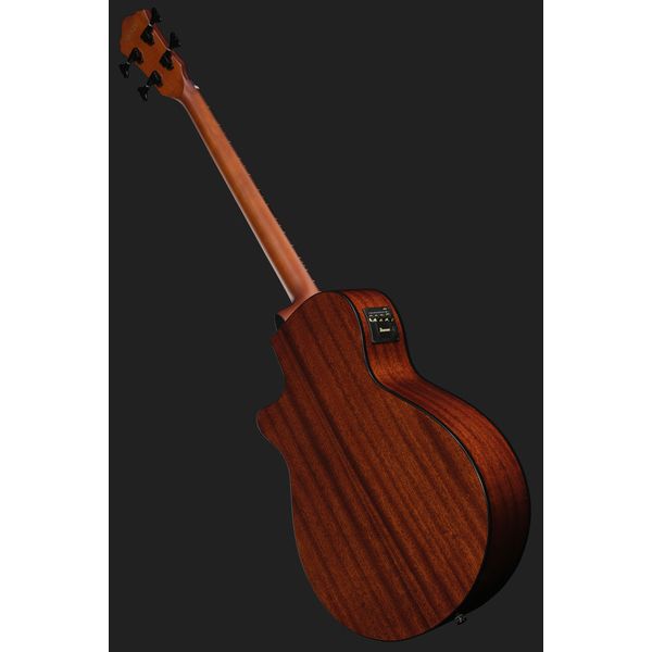 Ibanez AEGB24FE-MHS Fretless