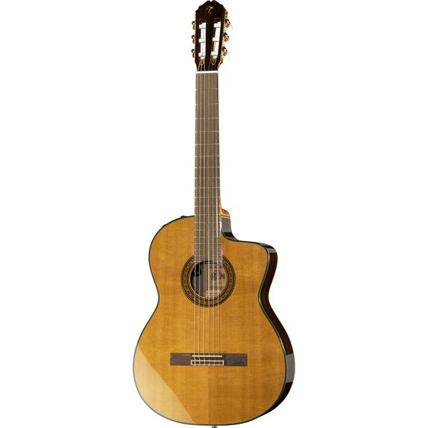 Takamine EC132SC w/Softcase